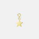 COLGANTE STAR CHARM CON REASA