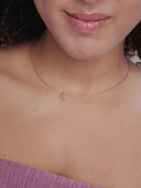 COLLAR PETIT DELICE